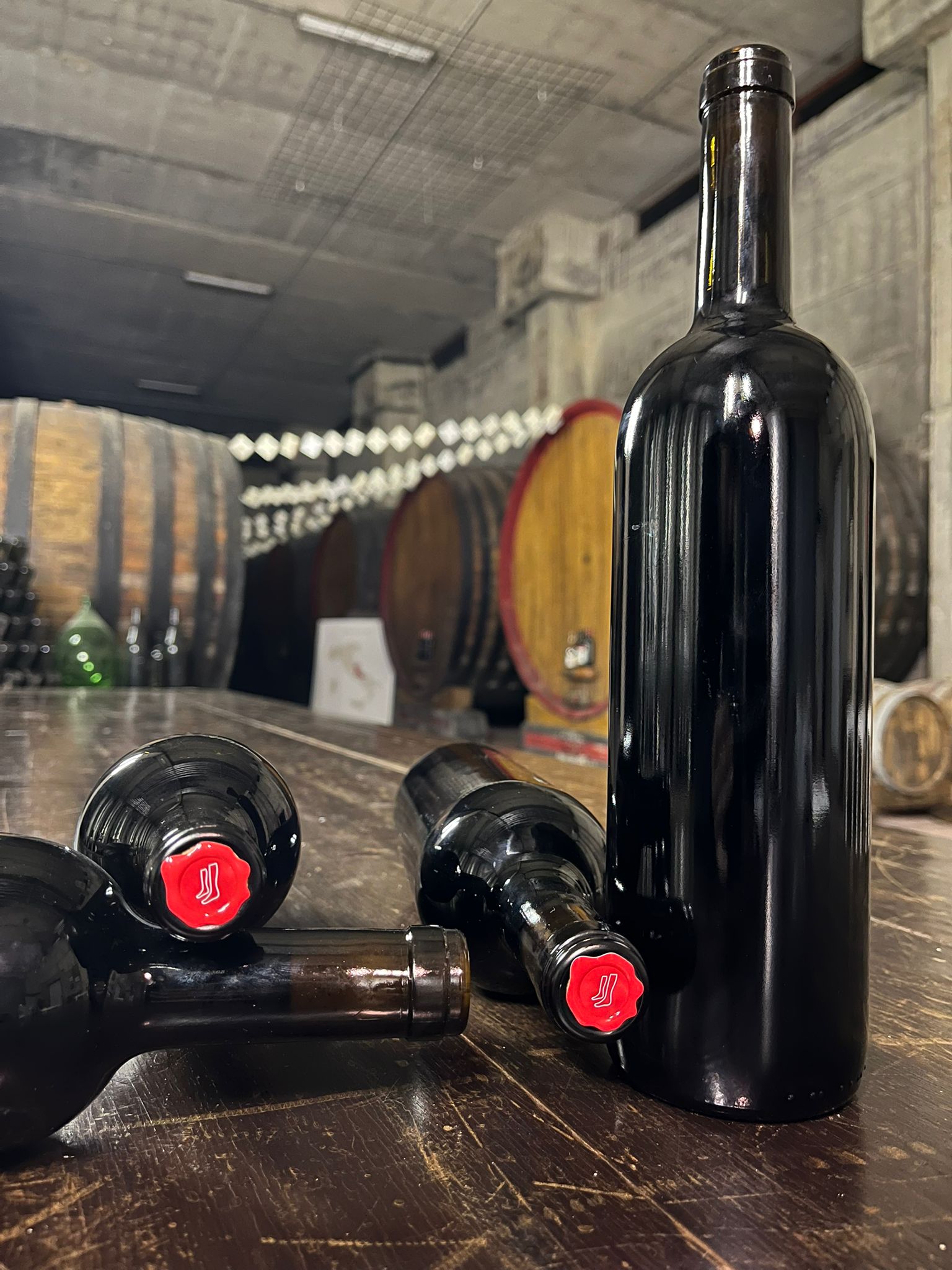 ROZZANO 2020 - 50 years Edition